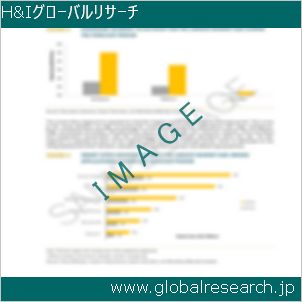 グローバルリサーチ調査レポートのイメージ